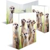 HERMA motiefmap A4 Exotische dieren - meerkat troep