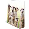 HERMA motiefmap A4 Exotische dieren - meerkat troep