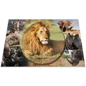 HERMA bureauonderlegger 550 x 350 mm, Afrika dieren