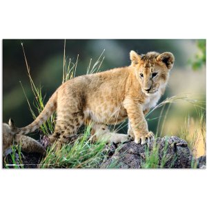 HERMA bureauonderlegger 550 x 350 mm, Afrika dieren