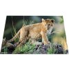 HERMA bureauonderlegger 550 x 350 mm, Afrika dieren