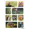 HERMA Sticker Bosdieren