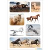 herma stickers wilde paarden 3 vellen-verpakking