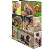 HERMA Motiefmap A4 Dieren - Knaagdieren