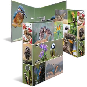 HERMA Motiefmap A4 Dieren - Home Vogels