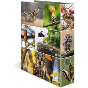 HERMA Motiefmap A4 Dieren - Home Vogels