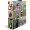 HERMA Motiefmap A4 Dieren - Home Vogels