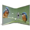 HERMA Motiefmap A4 Dieren - Home Vogels
