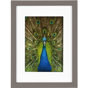 Goldbuch Houten lijst Pino 13x18 cm tot 30x40 cm met passe-partout