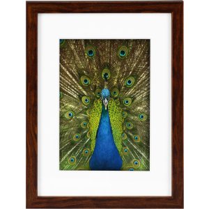 Goldbuch Houten lijst Pino 13x18 cm tot 30x40 cm met passe-partout