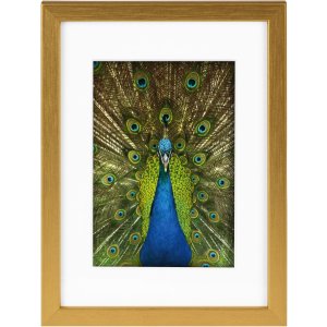 Goldbuch Houten lijst Pino 13x18 cm tot 30x40 cm met passe-partout