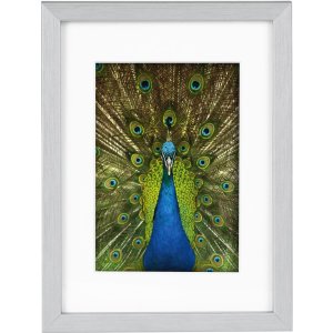Goldbuch Houten lijst Pino 13x18 cm tot 30x40 cm met passe-partout