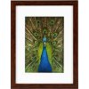 Goldbuch Houten lijst Pino 13x18 cm tot 30x40 cm met passe-partout