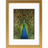 Goldbuch Houten lijst Pino 13x18 cm tot 30x40 cm met passe-partout