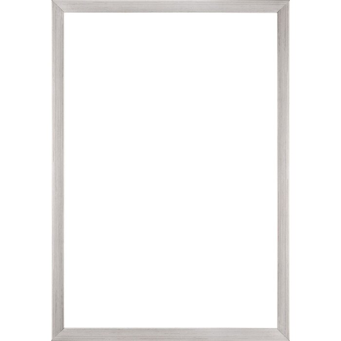 Walther Houten Lijst Valencia Anti-reflecterend glas zilver  25x60 cm