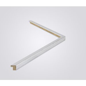 Walther Houten Lijst Valencia Anti-reflecterend glas zilver  29,7x42 cm