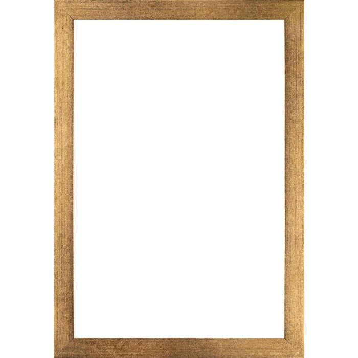 Walther houten lijst Oviedo 20x28 cm goud Anti-reflecterend glas