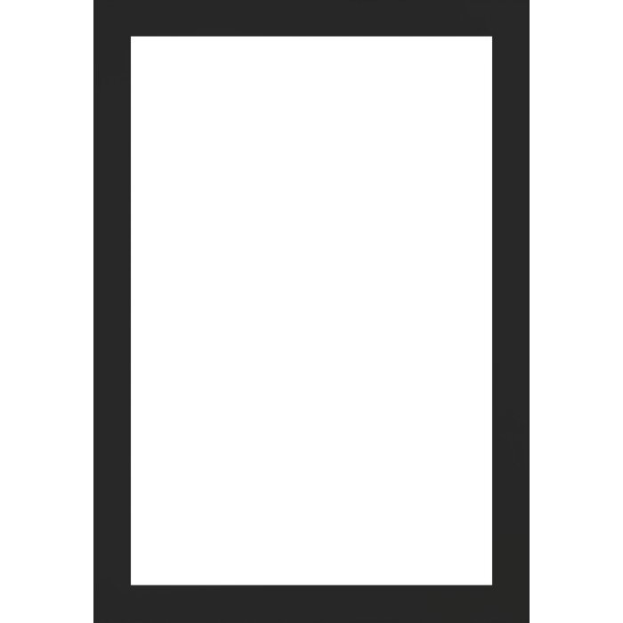 Walther houten lijst Tarassa 40x60 cm zwart Anti-reflecterend glas
