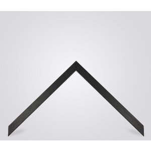 Walther houten lijst Madrid 30,5x91,5 cm zwart Anti-reflecterend glas