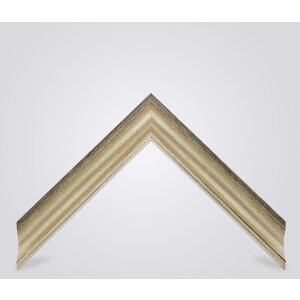 Walther Houten Lijst Vigo 45x80 cm zilver  met zilveren rand Anti-reflecterend glas