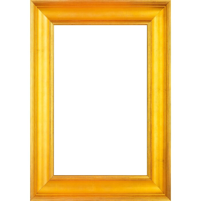 Walther Houten Lijst Vigo 50x75 cm goud  met zilveren rand Anti-reflecterend glas