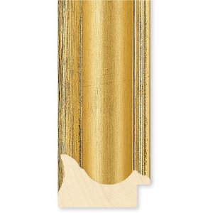 Walther Houten Lijst Vigo 60x90 cm goud  met zilveren rand Anti-reflecterend glas