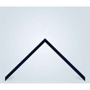 Walther Houten Lijst Valencia Helder glas zwart  62x93 cm