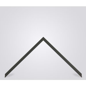 Walther Houten Lijst Valencia Helder glas antraciet 50x65 cm