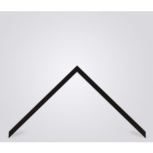 Walther Houten Lijst Valencia Helder glas donkerbruin  50x100 cm