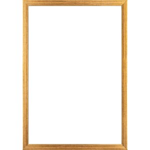 Walther Houten Lijst Valencia Helder glas goud  25x35 cm