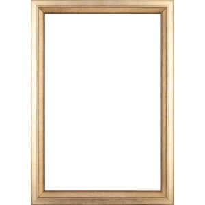 Walther Houten Lijst Cartagena zilver 45x80 cm Helder glas