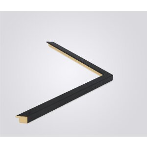 Walther houten lijst Barcelona 20x25 cm zwart Helder glas