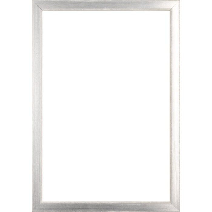 Walther houten lijst Barcelona 25x80 cm zilver Helder glas