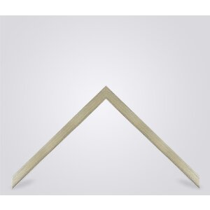 Walther houten lijst Oviedo 50x100 cm champagne Helder glas