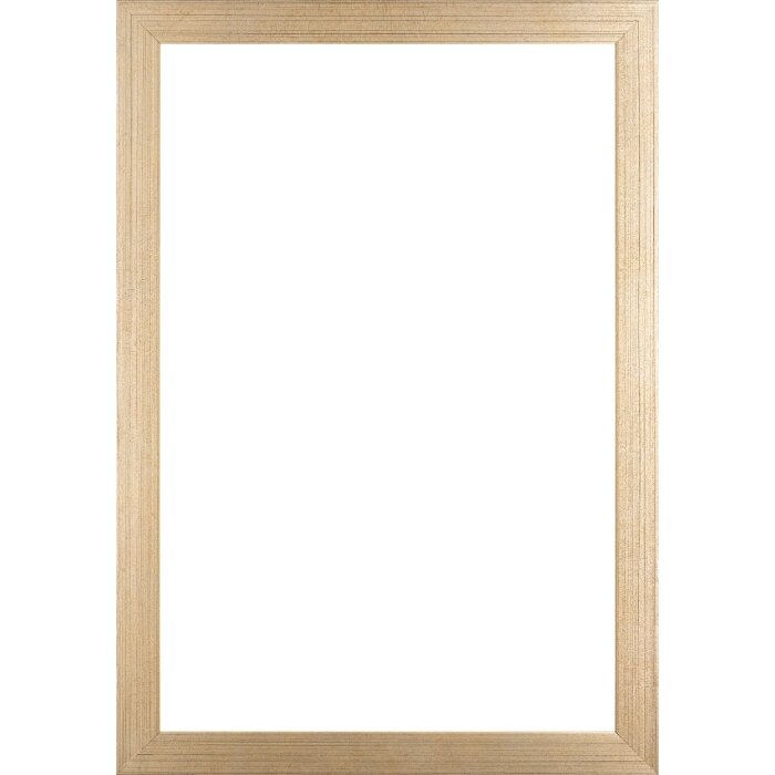 Walther houten lijst Oviedo 50x60 cm champagne Helder glas