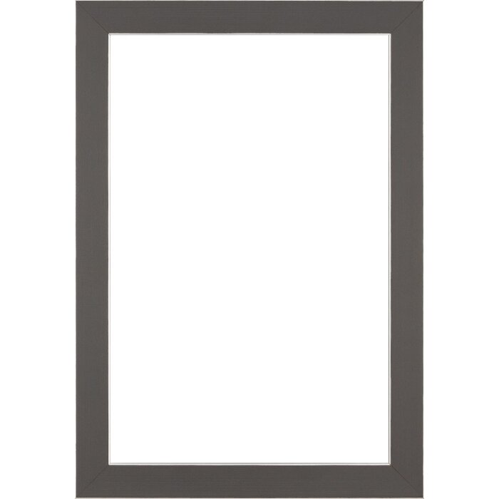 Walther Houten Lijst Bilbao met zilveren rand 35x100 cm grijs Helder glas