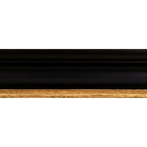 Walther Houten Lijst Vigo 42x59,4 cm zwart  met zilveren rand Helder glas