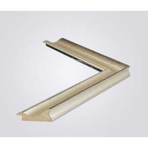 Walther Houten Lijst Vigo 20x30 cm zilver  met zilveren rand Helder glas