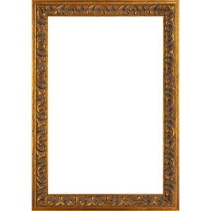 Walther Houten Lijst Pamplona goud 50x75 cm Helder glas
