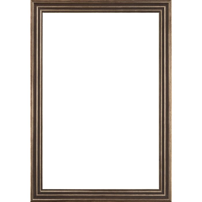 Walther houten lijst Palma zwart  27x48 cm Helder glas