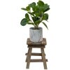 Clayre en Eef 6h2202 Plantertafel Bruin 15x15x21 cm