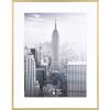 Aluminium lijst Manhattan 40x50 cm goud