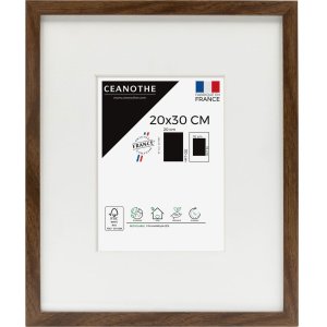 Ceanothe houten lijst wild met afgeschuind passepartout