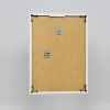 Effect kunststof lijst Art wit 25x80 cm helder glas