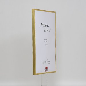Effect kunststof lijst Art goud 50x70 cm helder glas