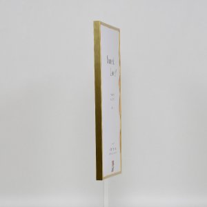 Effect kunststof lijst Art goud 50x70 cm helder glas