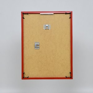 Effect kunststof lijst Art rood 70x100 cm helder glas