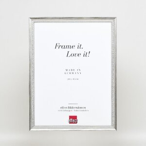 Effect Holzrahmen Profil 48 zilver 40x60 cm helder glas