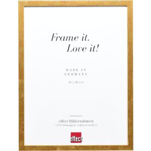 effect Holzrahmen Profil 51 antikgold 27x48 cm Klarglas