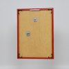 Effect kunststof lijst Art rood 25x70 cm ontspiegeld glas
